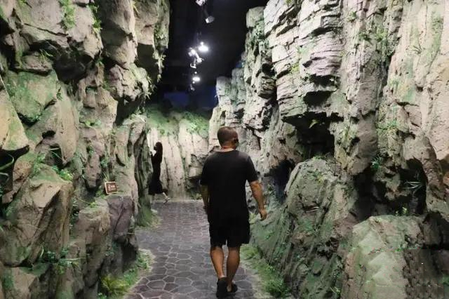 地質(zhì)博物館設(shè)計(jì)