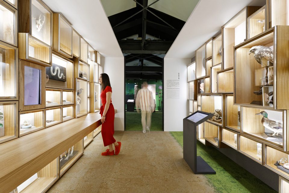 博物館設(shè)計