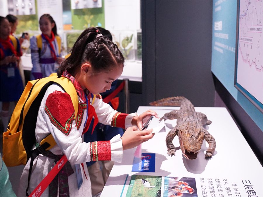 “三峽娃娃”。(攝影:秦鈴萌) (6) “三峽娃娃”。(攝影:秦鈴萌) (6)